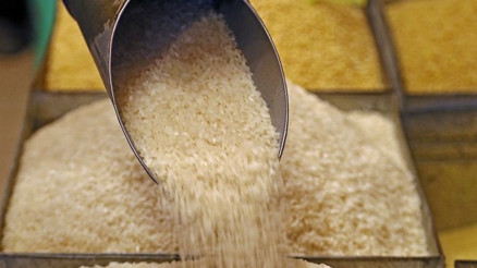 Sadece kayıtdışılığı azaltır