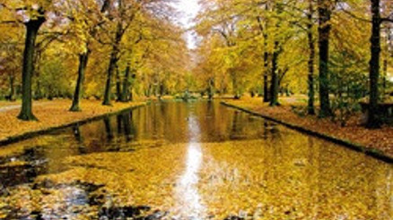 Bay Liszt, geldiğimde uykudaydınız