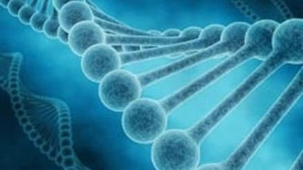 ‘Genetik arşiv’ hukuksuz