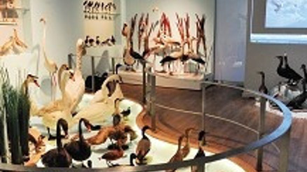 Hepsi Saint Joseph Doğa merkezinde