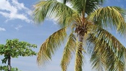 Ocak ayında içinizi ısıtacak beş şehir