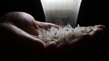 Kelebeklerin ölümle dansı