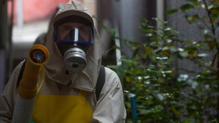 Almanyada Zika virüsü alarmı