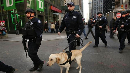 Son dakika... Belçika basını: Yakalanan kişi, aranan şüpheli değil