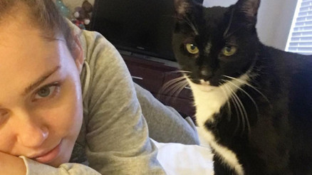 Miley Cyrusa kedi saldırdı