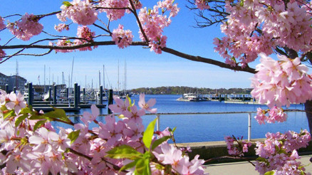 Baharda nerelere gidilir