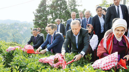 Kaçıyorlar