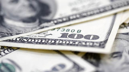 Dolar endişelere tepki vermedi