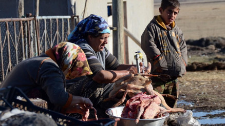 Karsta kadınların kaz temizleme mesaisi başladı