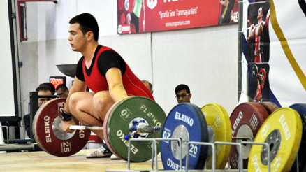 Türkiye Büyükler Ferdi Halter Şampiyonası