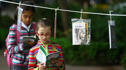 12 İlçede Birden Ağaçlar Kitap Açacak