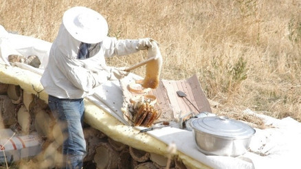 Hakkari’nin Karakovan Balı Piyasaya Çıktı