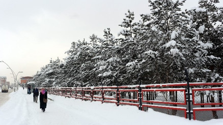 Ağrı’da Kış Manzaraları
