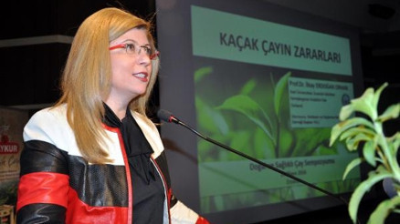 Kaçak çayda kömür tehdidi