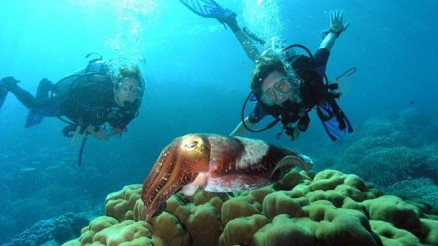 Dalış turizminde marka şehir Antalya