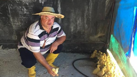 Türkiyenin en büyük organik  kaz çiftliği Karacalı’ya kuruluyor