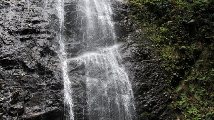 Rize’ye 4 yeni tabiat parkı
