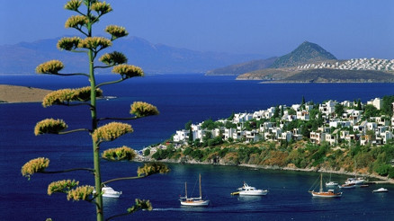 Bir Yaz Rüyası: Bodrum (Kurban bayramı 2016)