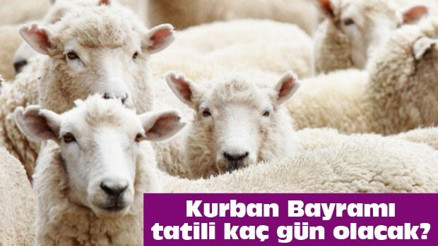 2016 Kurban Bayramı ne zaman (Bayram tatili 9 gün oldu mu) 2016 Kurban Bayramı ne zaman (Bayram tatili 9 gün oldu mu)