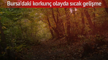 Cinayet büro ormanın derinliklerinde 10 gün kovaladı