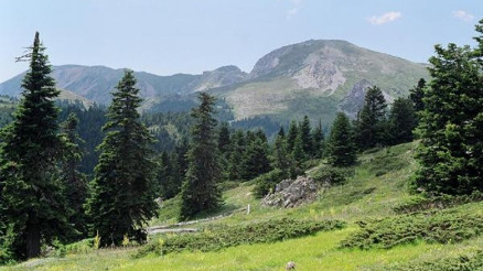 Uluslarası Seyahat sitesinden Ilgaz Dağına 5 yıldız