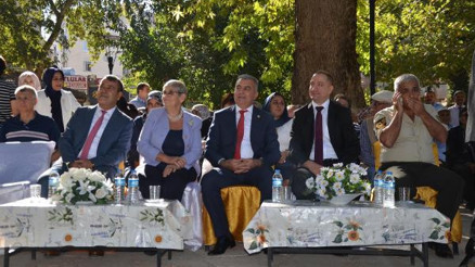 Prof. Dr. Canan Karatay: Bütün zeytinlikler benim