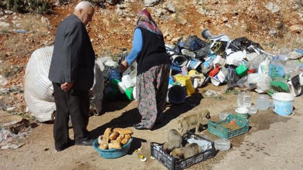 Sokak köpeklerini besleyen emekli çift, destek bekliyor