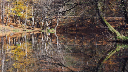 Türkiyede sonbaharda gidilecek en güzel yer: Yedigöller
