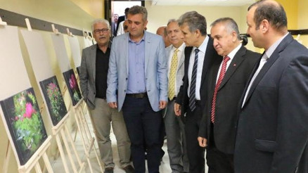 Şakayık temalı sergi açıldı