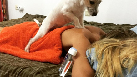 Köpek internet fenomeni oldu