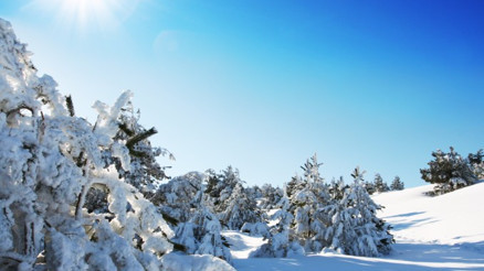 Tuba Köseoğlu Okçu ile #BunuBiliyorMusun (19.12.2016)