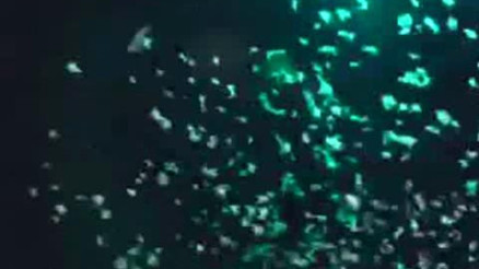 HER YIL AYNI YERDE OLUYOR