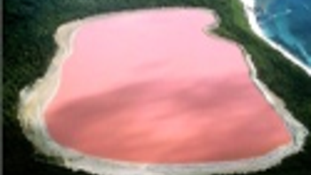 PEMBE GÖLÜN SIRRI ORTAYA ÇIKTI PEMBE GÖLÜN SIRRI ORTAYA ÇIKTI