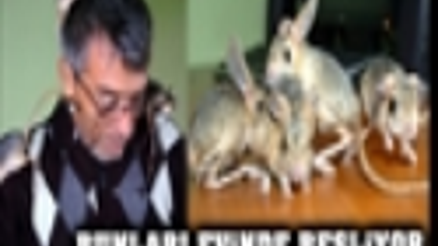 EVİNDE BUNLARI BESLİYOR