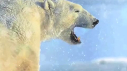 Youtubenin En İyi Videoları Derlemesi