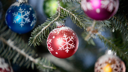 Tuba Köseoğlu Okçu ile #BunuBiliyorMusun (26.12.2016)