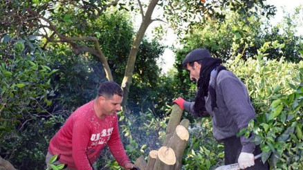 27 yılda 4 milyon hektar tarım alanı yok oldu