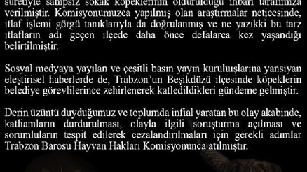Beşikdüzü’nde köpek itlafı iddiası Trabzon Barosu’nu harekete geçirdi