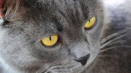 Tuba Köseoğlu Okçu ile #BunuBiliyorMusun (16.01.2017)