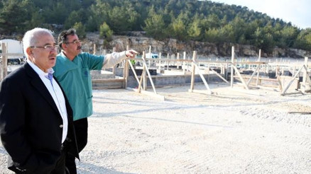 Mersinde sokak hayvanlarına otel konforunda barınak