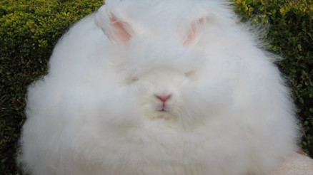 Tuba Köseoğlu Okçu ile #BunuBiliyorMusun (30.01.2017)