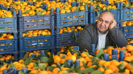 50 milyon ton sebze ve meyvenin yüzde 25si çöpe gidiyor