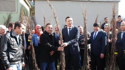 Bahçede ceviz dağıtımı