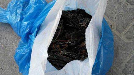 Gölbaşında yasa dışı avlanmaya para cezası