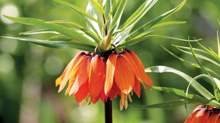 Biyokaçakçı hedefi olduk