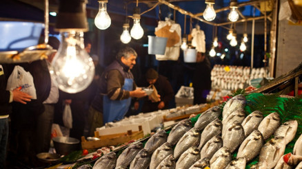 Hangisini tüketelim Taze balık mı, dondurulmuş balık mı