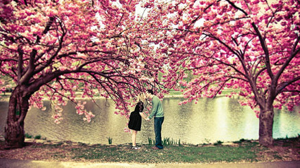 Biz her bahar aşık oluruz