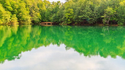 Çocuklarla doğada yapabileceğiniz en iyi 10 bahar aktivitesi Çocuklarla doğada yapabileceğiniz en iyi 10 bahar aktivitesi