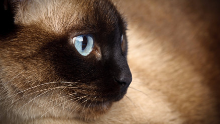 Tuba Köseoğlu Okçu ile #BunuBiliyorMusun (27.03.2017)