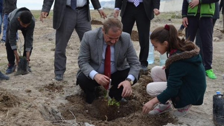 Adilcevaz’da 150 aşılı ceviz fidanı toprakla buluştu